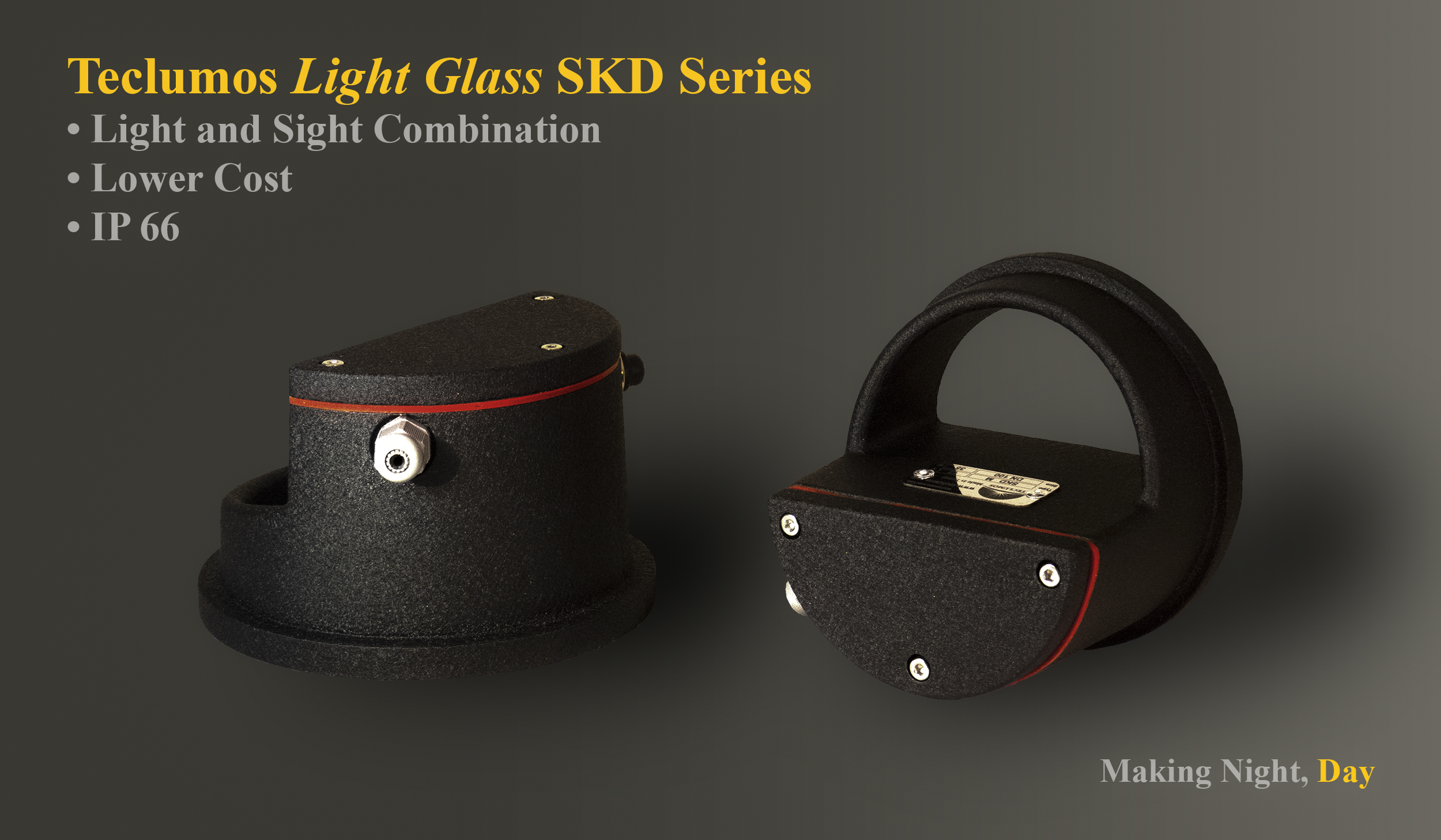 Light and sight glass combination